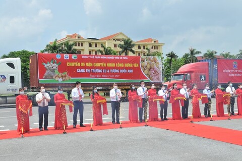 Kết nối 33Win 4com nhà cái tỷ lệ World Cup nhãn lồng và nông sản Hưng Yên qua 61 điểm cầu các 33Win60 khuyến mãi hấp dẫn, vùng lãnh thổ