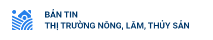 THỦ TỤC NHANH CHÓNG